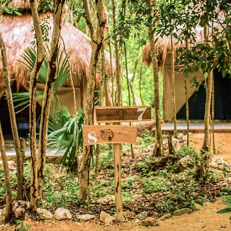 Akumal Natura Glamping Kültér fotó